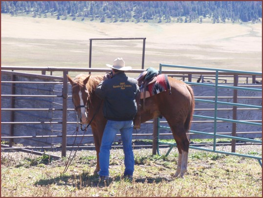Cowboys (Valles Caldera)