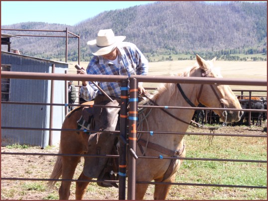 Cowboys (Valles Caldera)