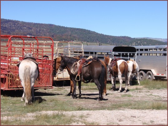 Horses (Valles Caldera)