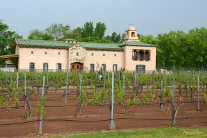 Winery_1